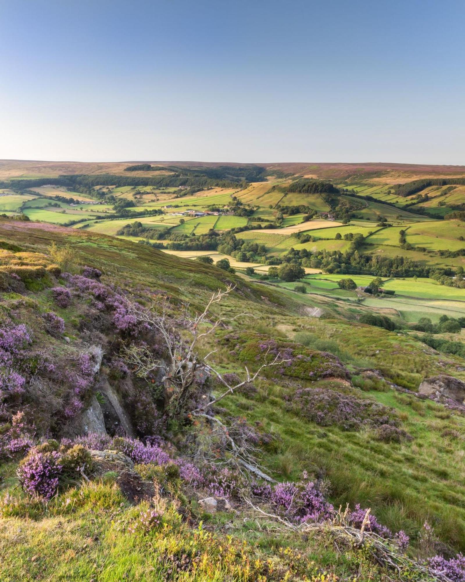 Picturesque Stone Cottage In The Heart Of North Yorkshire Village - Hideaway Cottage Esterno foto